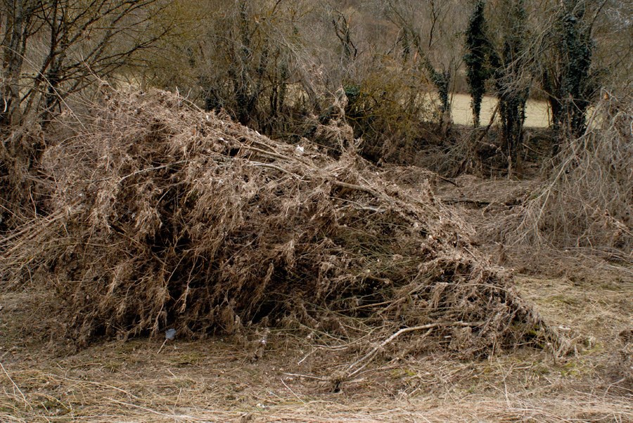 Premier amas&nbsp;: un enchevêtrement de branches et de racines sèches, couché en travers d'une prairie rase et fauve, adossé à une haie d'arbres nus. La masse s'affaisse vers la gauche, toutes ses fibres inclinées dans le même sens.