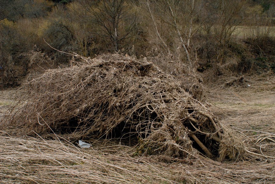 Troisième amas&nbsp;: une coupole de branchages couchés, creusée d'une cavité sombre à sa base, posée sur une herbe sèche couchée elle aussi dans le sens du courant. Un fragment de plastique blanc est pris dans l'enchevêtrement.