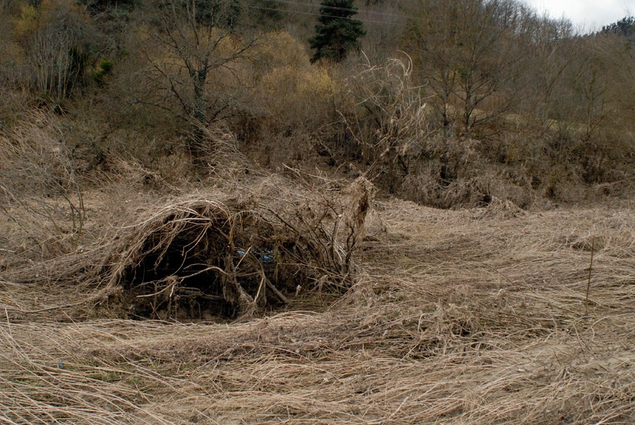 Quatrième amas&nbsp;: un dôme bas de racines et de tiges séchées, isolé au milieu d'un pré entièrement peigné par la crue, avec un talus boisé et un ciel gris à l'arrière-plan.