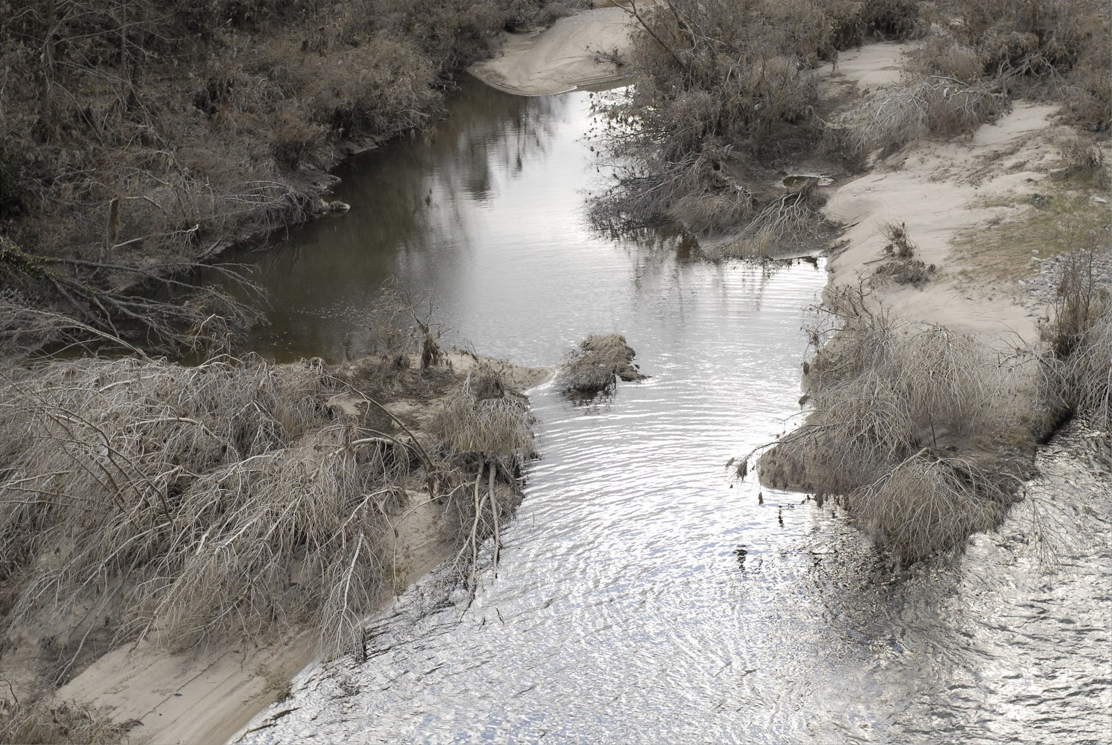 Tirage du haut&nbsp;: un bras de rivière étroit vu de haut, entre une berge boisée et une plage de sable clair. L'eau, grise et lente, miroite d'un ciel voilé&nbsp;; les arbres sans feuilles sont tous couchés dans le même sens.