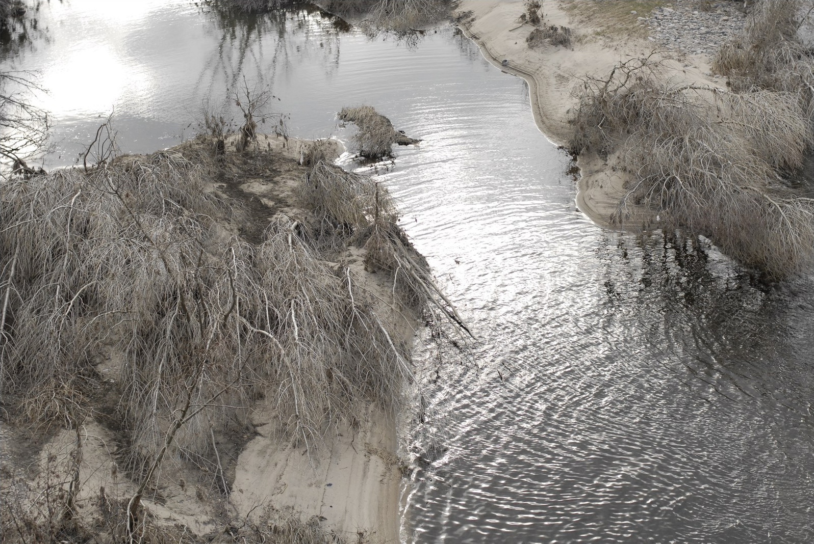 Tirage du milieu&nbsp;: la vue bascule. Une avancée de sable et de terre s'enfonce dans l'eau argentée, hérissée d'arbres couchés dont les branches balaient le sol&nbsp;; sur l'autre rive, des bancs de sable clairs.
