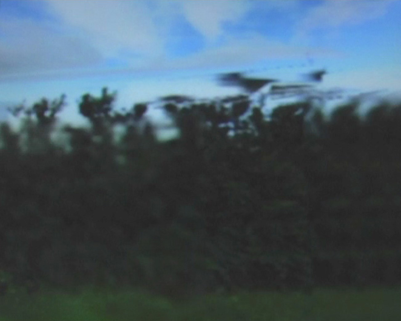 Photogramme filmé à même l'écran&nbsp;: une masse de bosquets vert sombre occupe les deux tiers bas du cadre, sous un ciel bleu strié de nuages pâles. À droite, la ligne des arbres se déchire et s'étire à l'horizontale — l'image se couche, arrachée par l'obturateur de la voiture qui l'a photographiée en roulant.