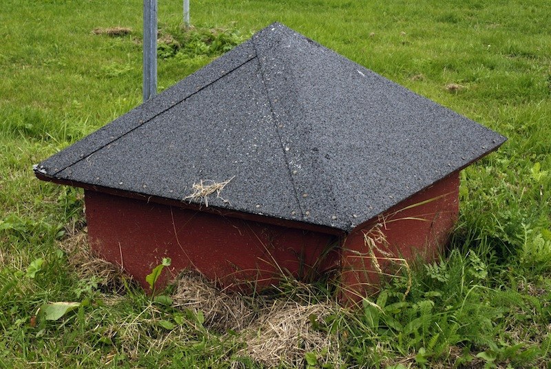 Coffret technique bas, corps de béton rouge et toit de bitume gris à quatre pentes, affleurant au ras d'une pelouse d'où montent des herbes sèches.