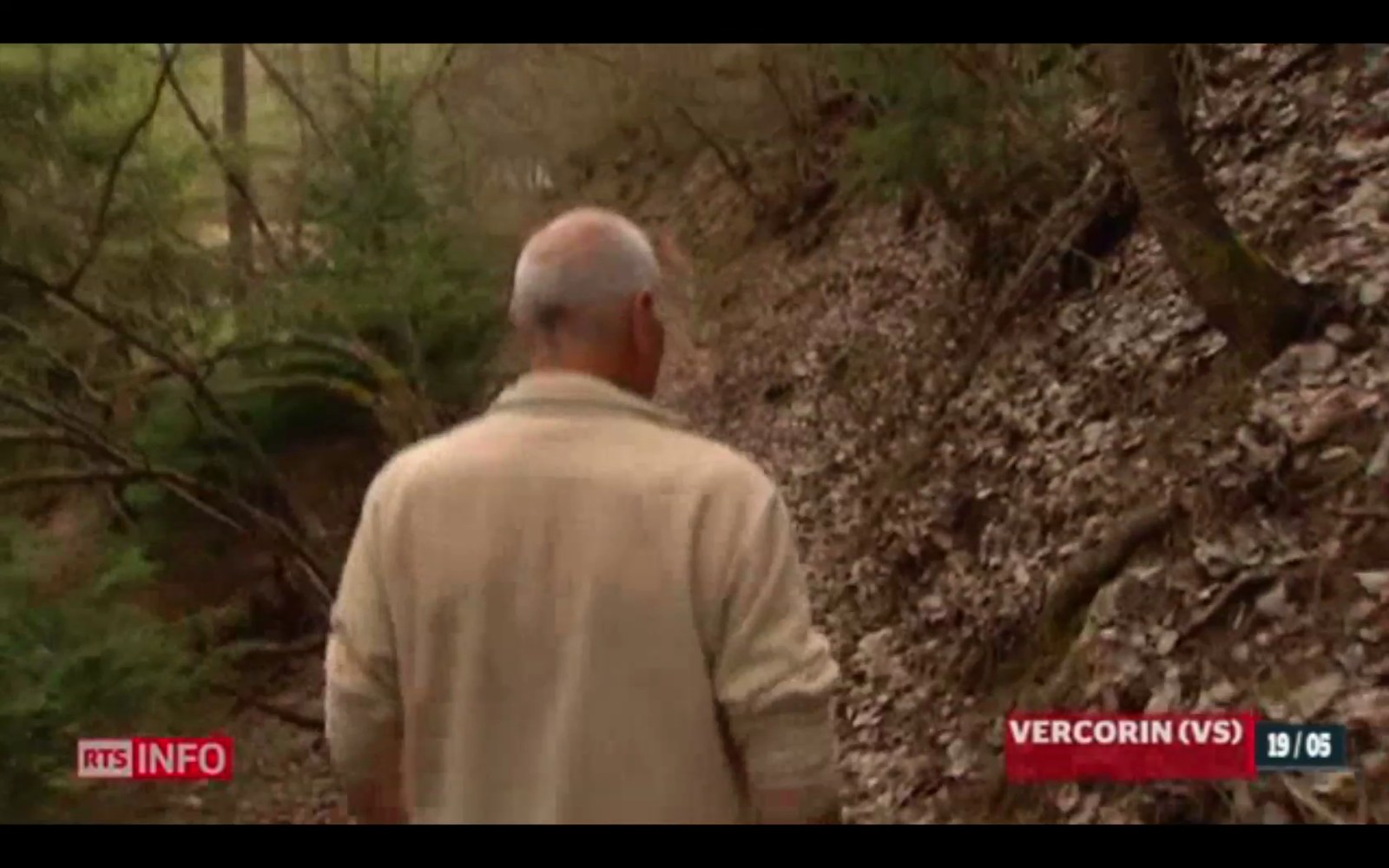 Photogramme du sujet télévisé : un homme aux cheveux blancs, vu de dos, marche dans un sous-bois pierreux ; en bas de l'image, les incrustations d'un journal télévisé.