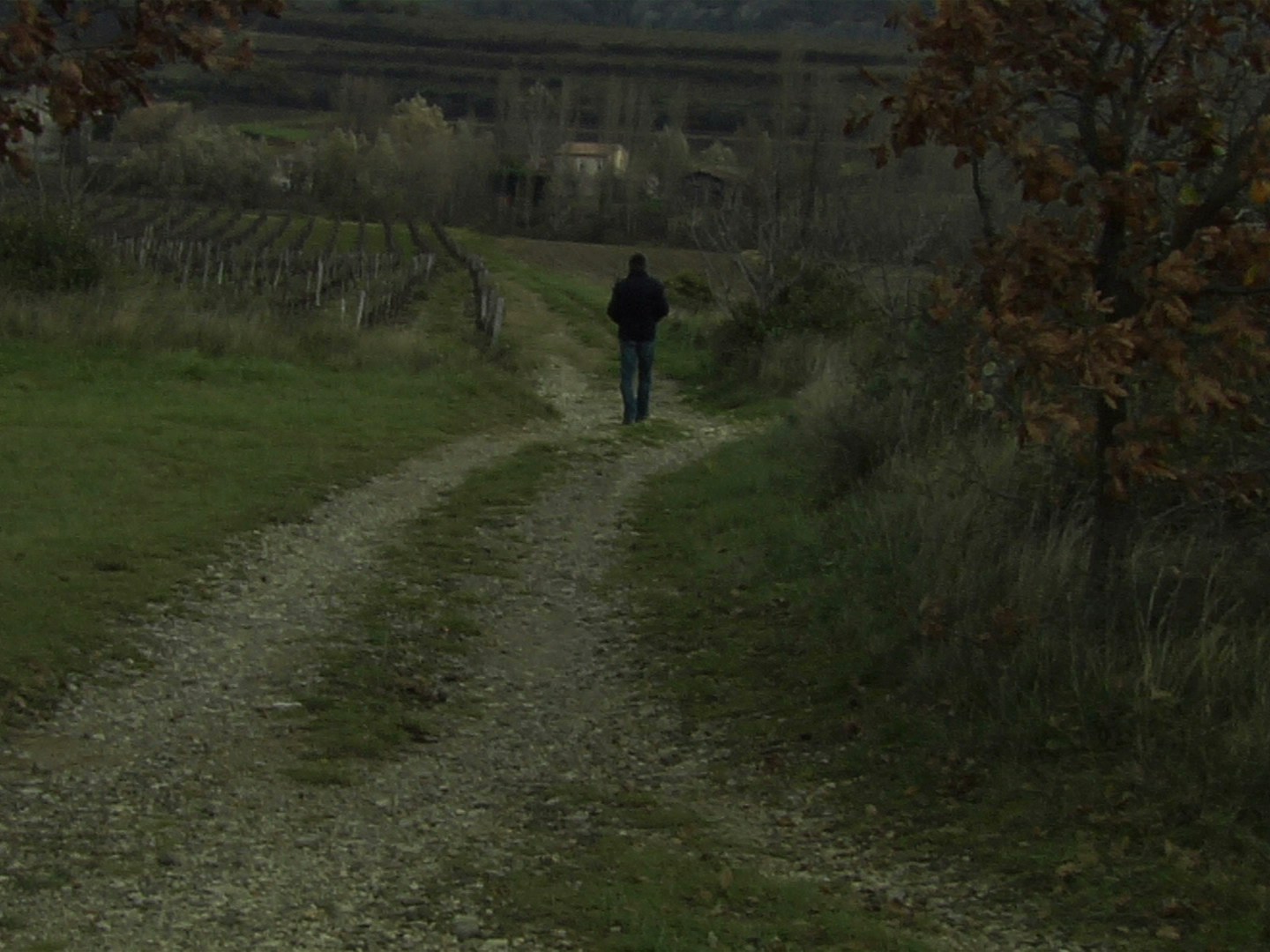 Photogramme : le même homme, de dos et lointain, s'éloigne sur le chemin qui descend entre des vignes et des chênes roux ; au fond, une ferme.