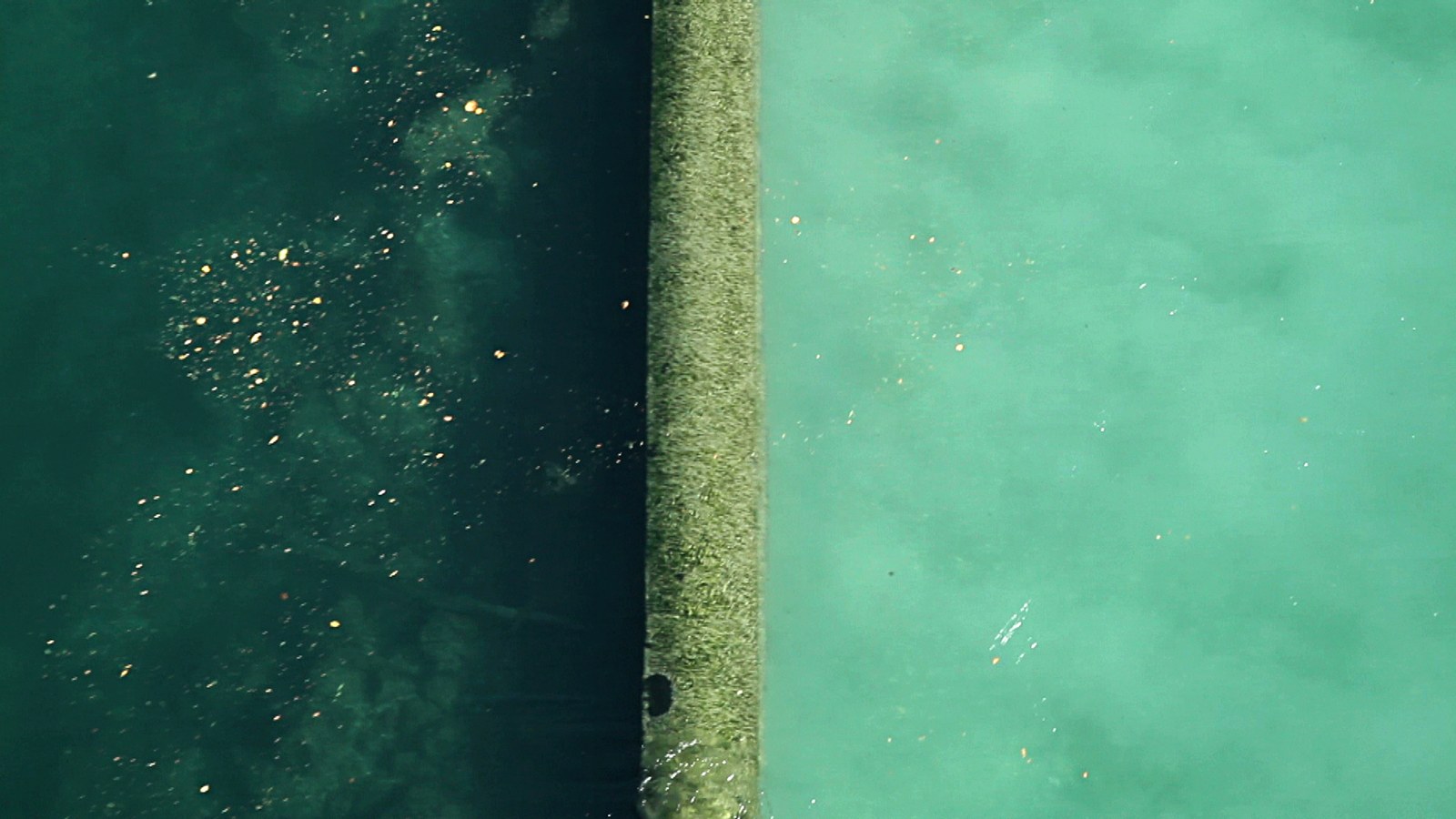 Photogramme : deux eaux séparées par une arête de béton verdie qui traverse l'image de haut en bas — à gauche une eau sombre chargée de débris clairs, à droite une eau pâle et laiteuse.