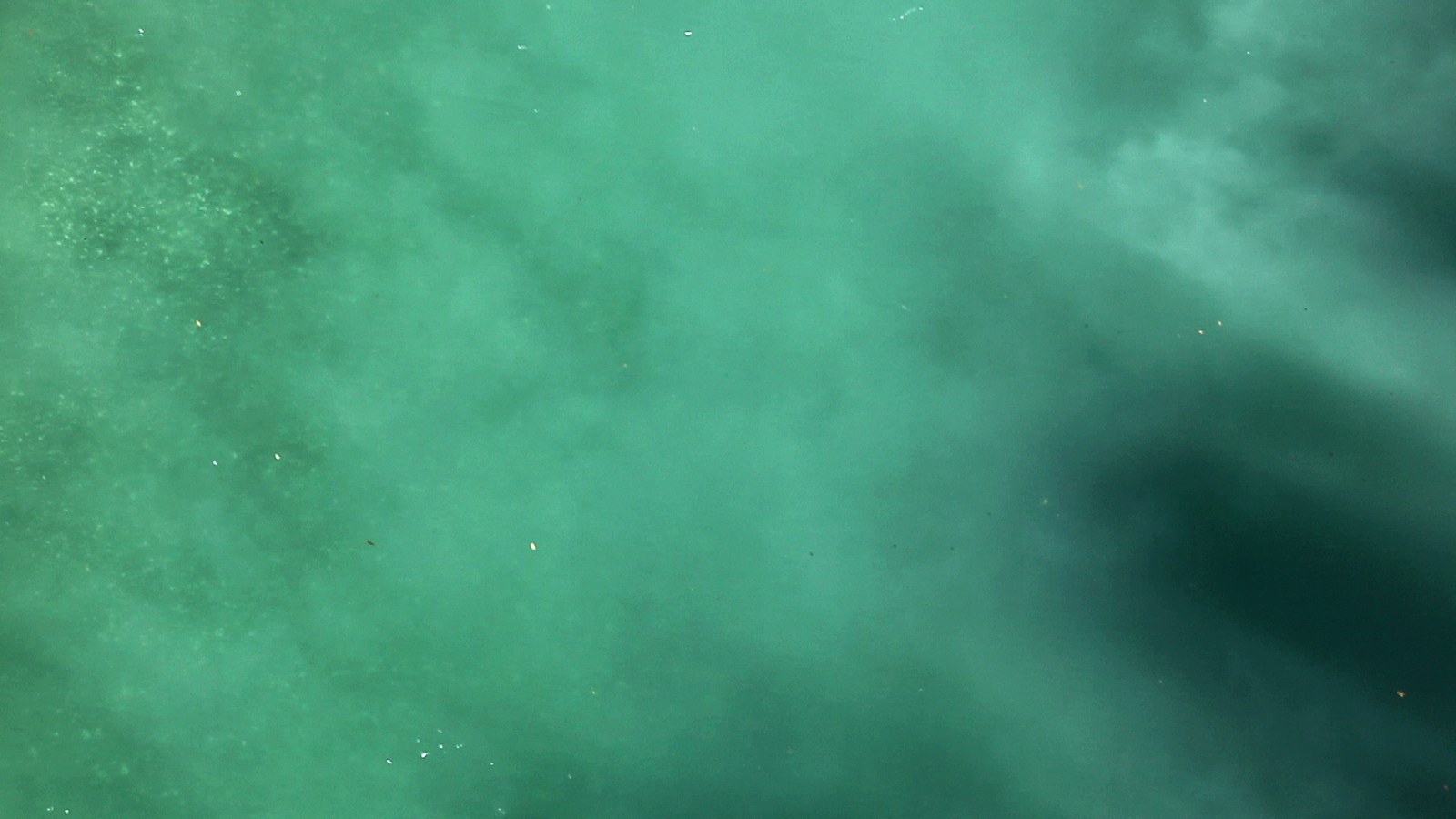 Photogramme : l'eau seule, verte et trouble, parcourue de voiles de sédiments qui la font ressembler à un ciel de nuages.
