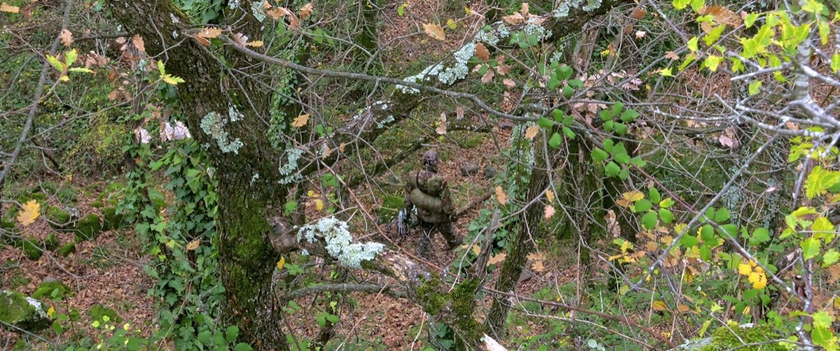 Photogramme : dans un sous-bois d'automne dense, un homme en tenue de camouflage, presque confondu avec les troncs et les lichens, se tient immobile au centre de l'image.