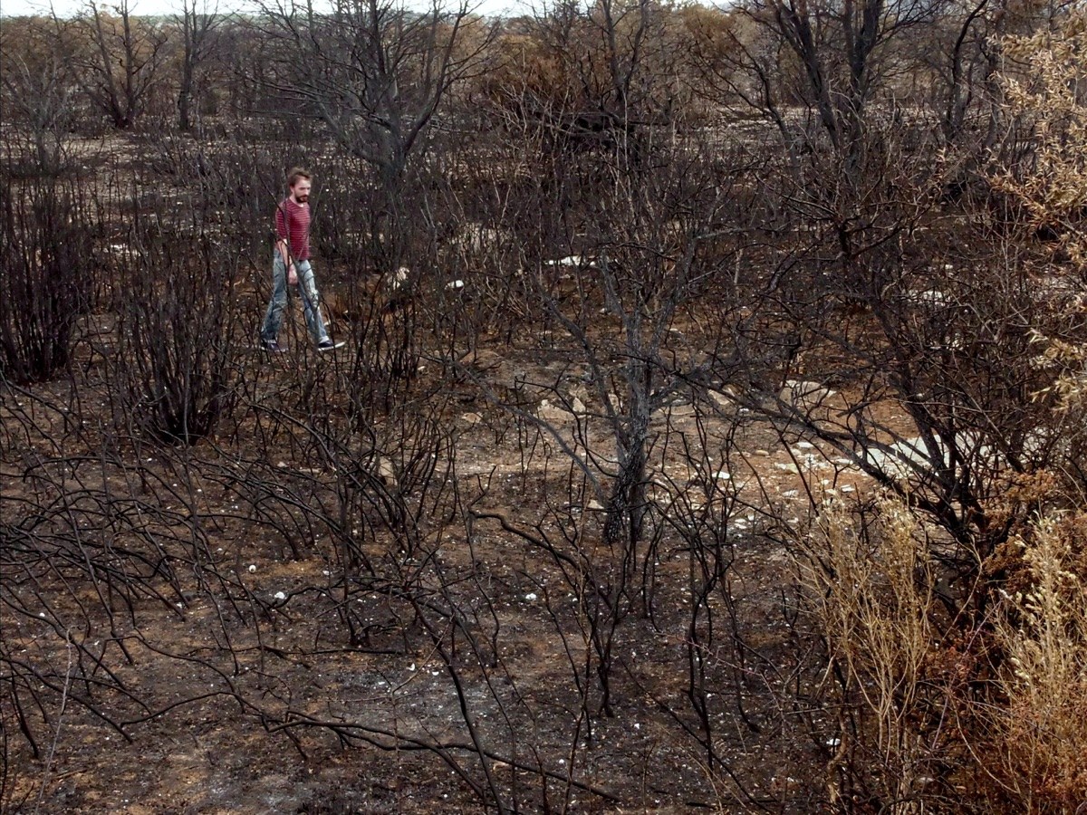 Photogramme : un homme en pull rayé traverse une garrigue entièrement brûlée, hérissée de branches noires calcinées.